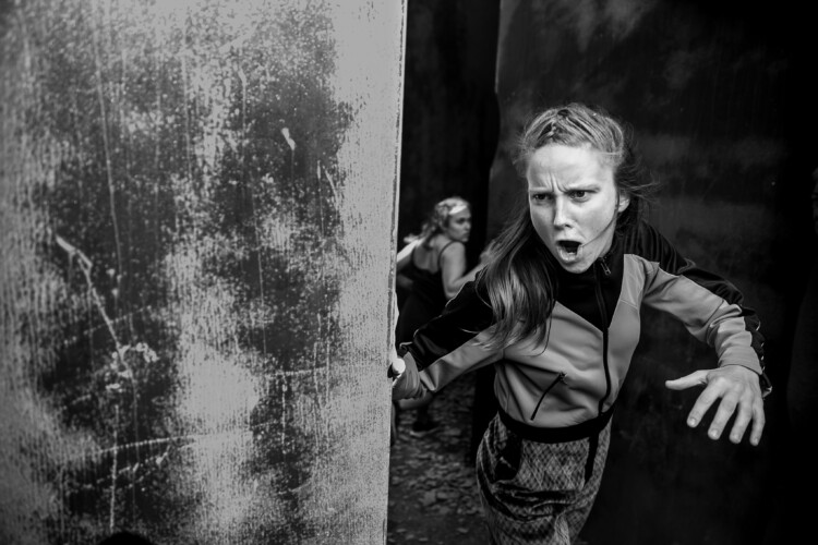 © Danny Willems