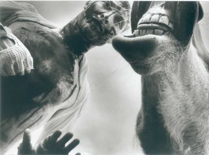 © Jean Pierre Stoop