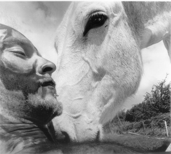 © Jean Pierre Stoop
